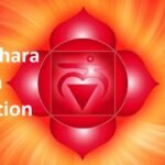 Muladhara Chakra Activation